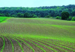 农业灌溉的发展趋势