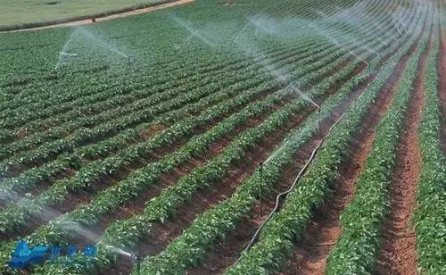 农业智能灌溉,节水智能灌溉 ,智能灌溉系统